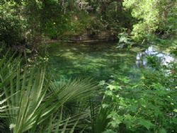 Blue Springs Boil in the center of this pool of water is ... by Ray Eccleston 